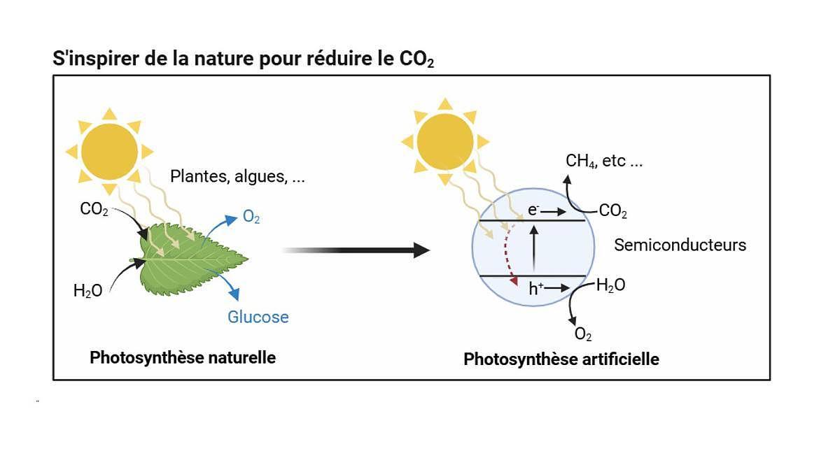 Photosynthèses naturelle & artificielle : transformer le CO₂ et l’eau (H₂O) en oxygène (O₂), rejeté dans l’air; ainsi qu'en glucose pour les plantes (leur source d’énergie) ou en méthane (CH4) ou autre molécule d'intérêt dans le cas de la photosynthèse artificielle. Crédits Soline Beitone.