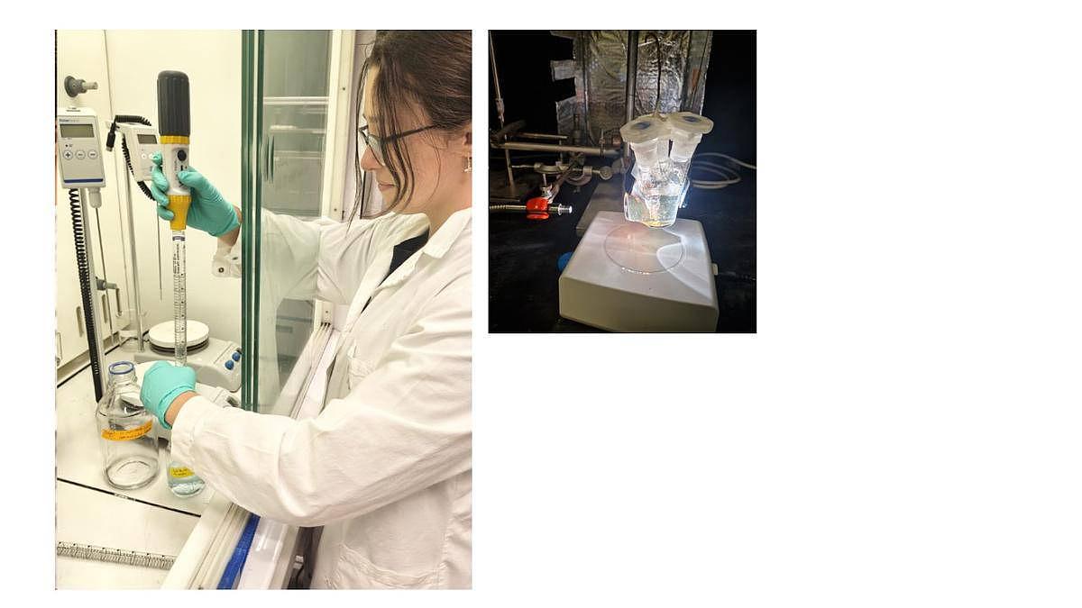 Soline au laboratoire. Crédits Soline Beitone.